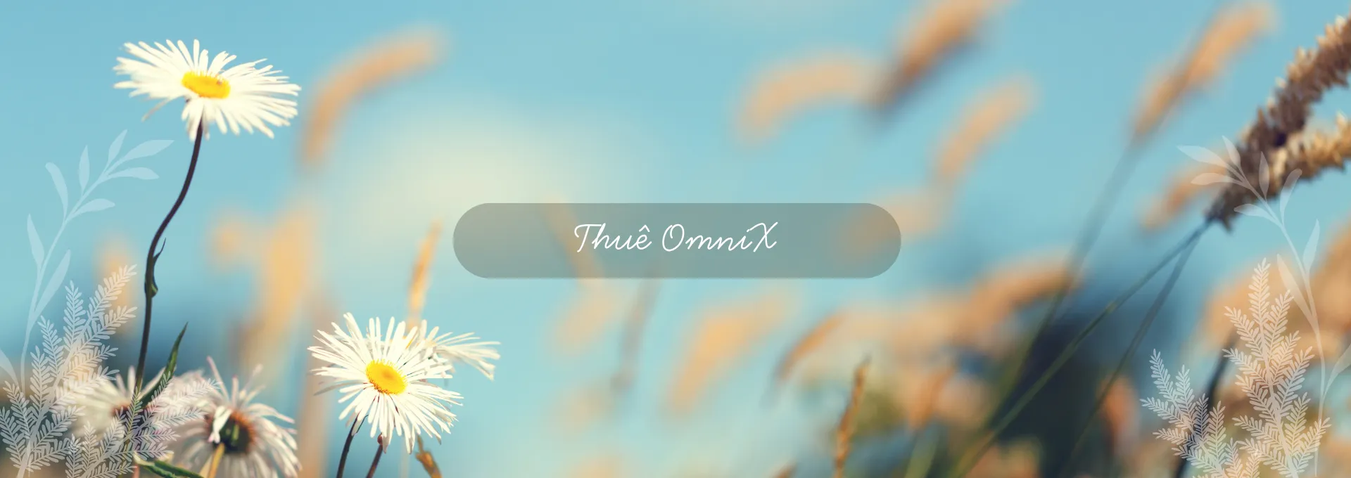 Footer omnix