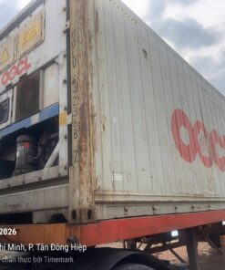 Dịch Vụ Cho Thuê Container Lạnh